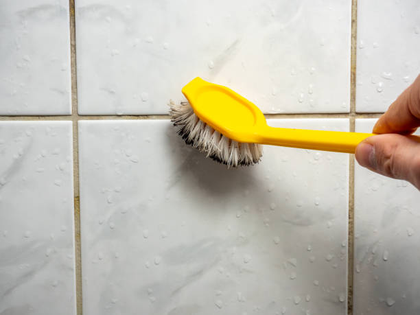 Best Professional Mold Removal  in Hanover Park, IL