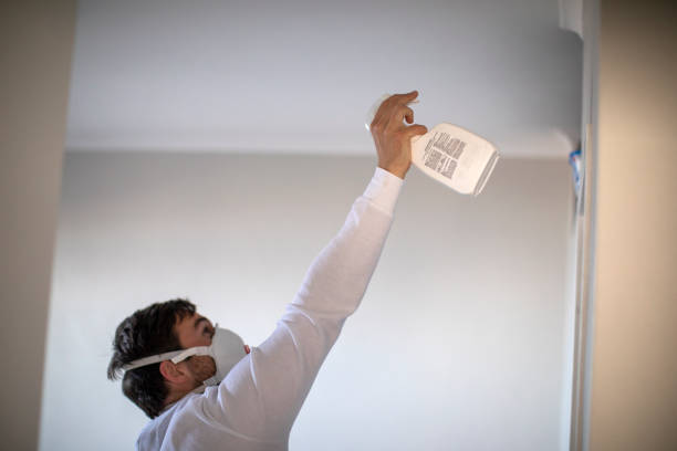 Best Affordable Mold Removal  in Hanover Park, IL