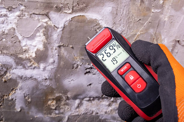 Best Toxic Mold Removal  in Hanover Park, IL