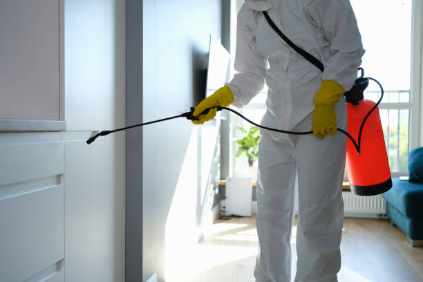Best Mold Cleaning Services  in Hanover Park, IL