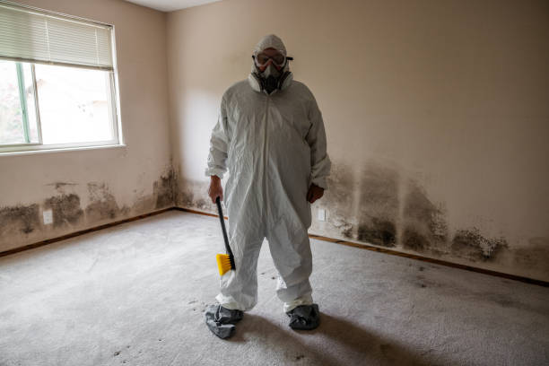 Best Commercial Mold Removal  in Hanover Park, IL